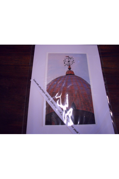 Beautiful Post Card- "Dome", Venice