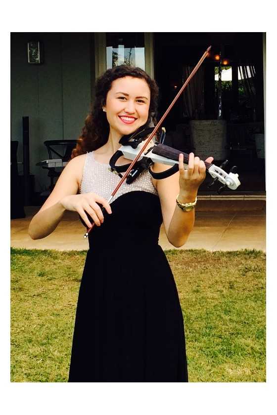 Phoenix Performer Series - Budget Violin Outfit