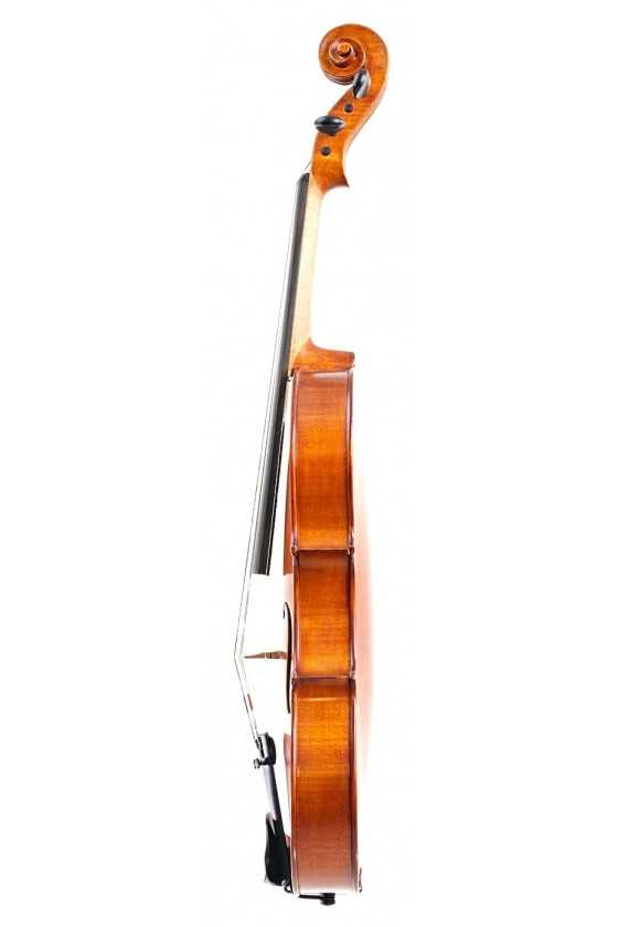 Gliga I Viola (Price Varies with Size)