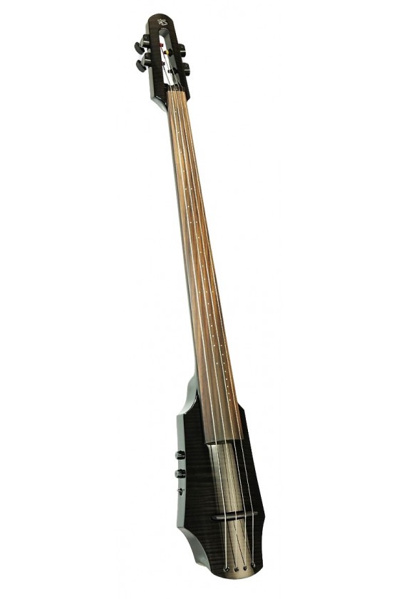 NS Design WAV 4 String Cello