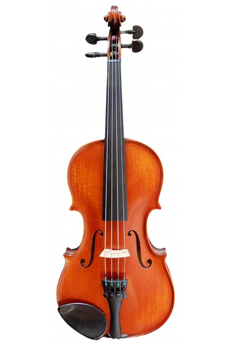 Gliga Vasile Professional - 1/2 Size (Violin Only)