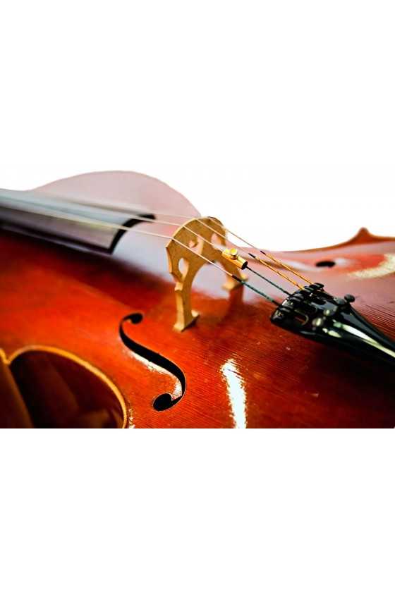Wolftone Eliminator For Cello