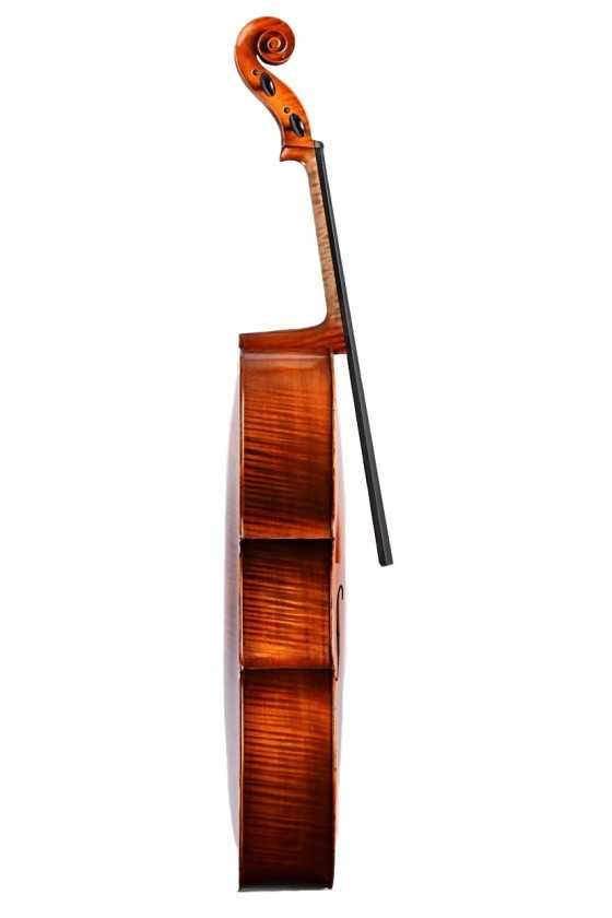 Stoehr Cello 4