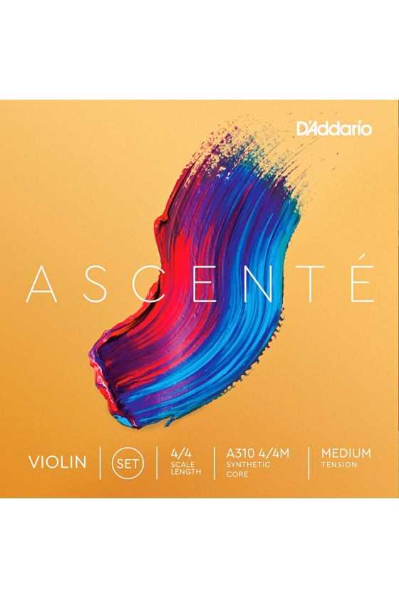 Ascente Violin Strings Set by D'Addario