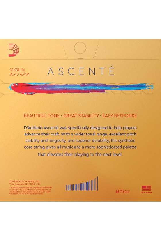 Ascente Violin E String by D'Addario