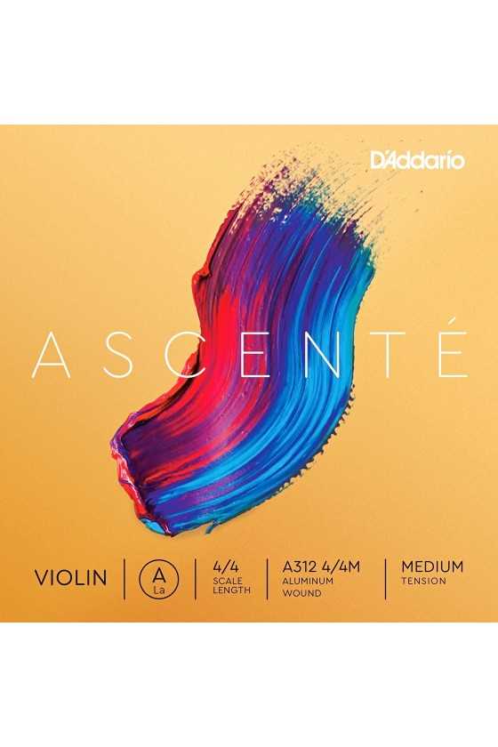 Ascente Violin A String by D'Addario