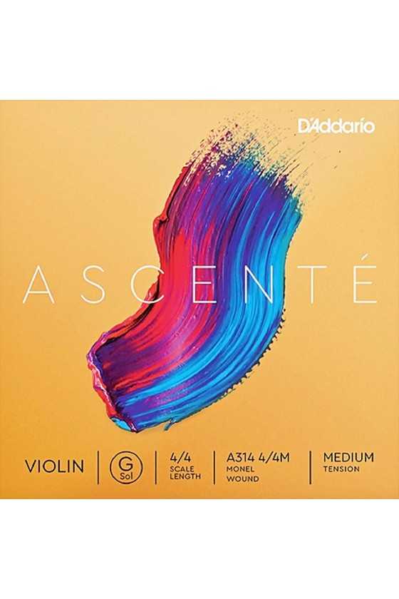 Ascente Violin G String by D'Addario