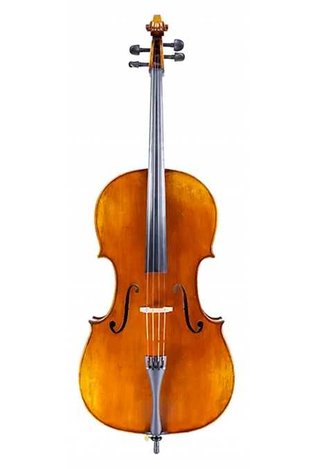 Eastman Albert Nebel VC601 Cello