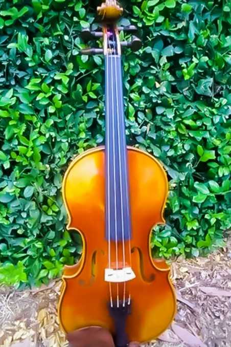 German-Made Helmut Illner A-Level Violin