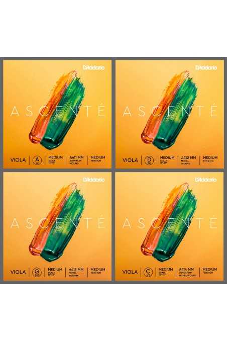 Ascente Viola String Set by D'Addario