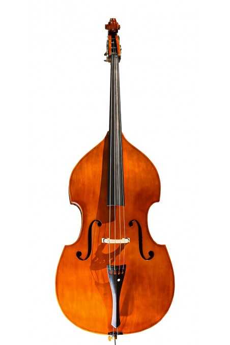 Arco Double Bass