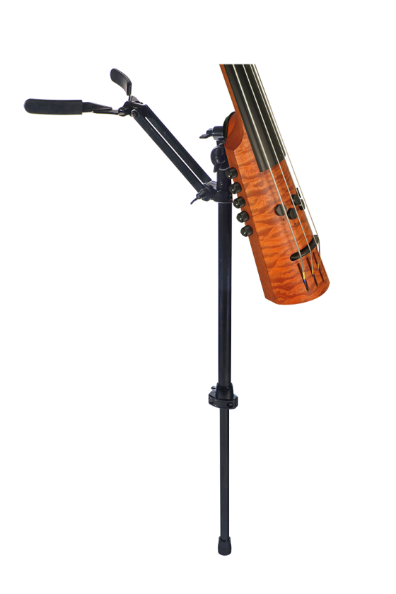 Electric Upright Bass End...