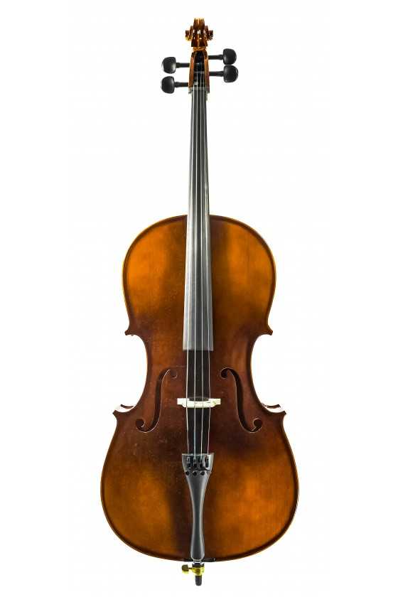 Arco Cello Outfit