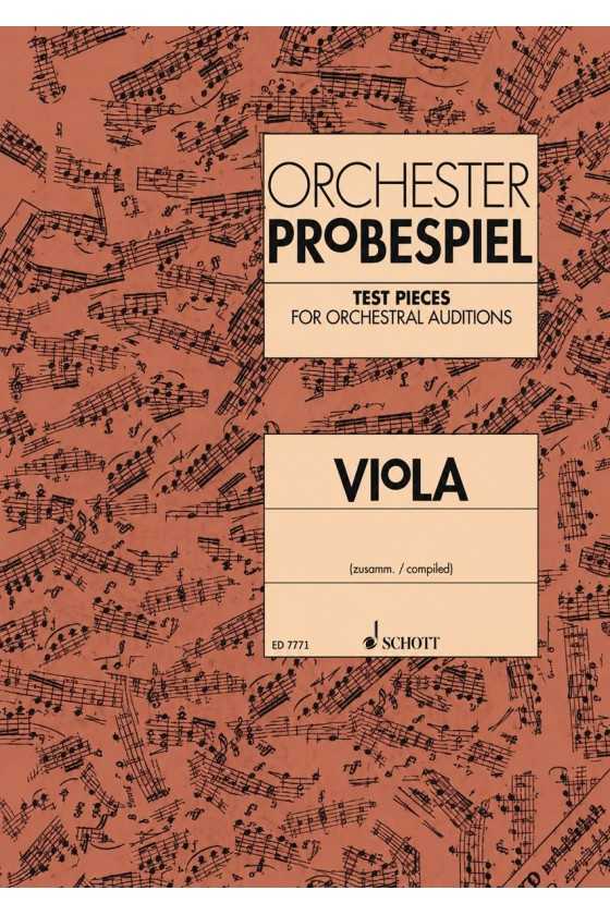 Orchester Probespiel Test...