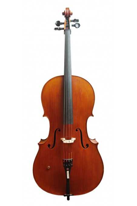 Lilo Salerno Cello 2025