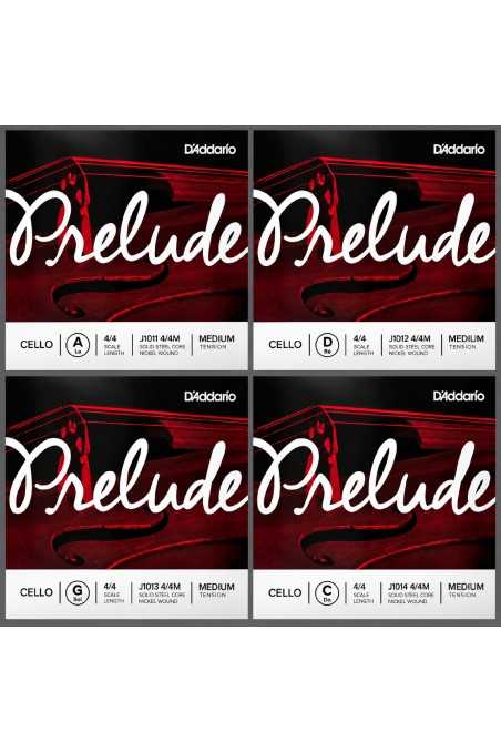 Prelude Cello Set by D'Addario