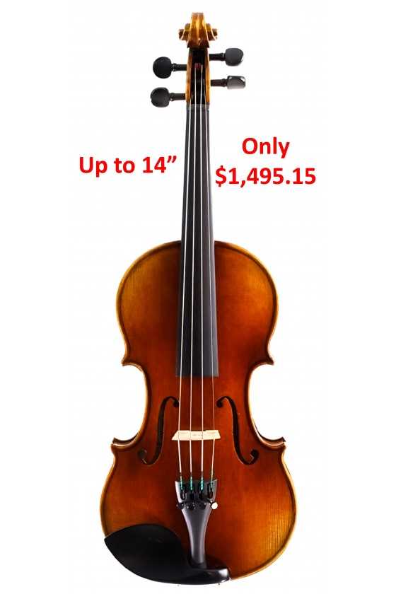 Amore Viola up to 14 inches