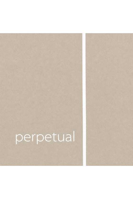 Perpetual Violin E String...