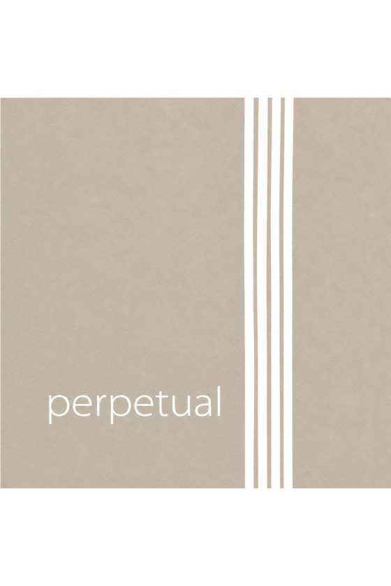 Perpetual Violin G String...