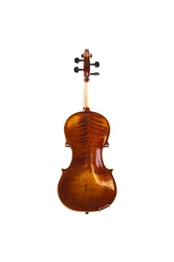 Capriccio Viola 12"-14" Back