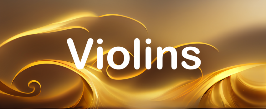 Buy Violin Instruments Online | Animato Strings