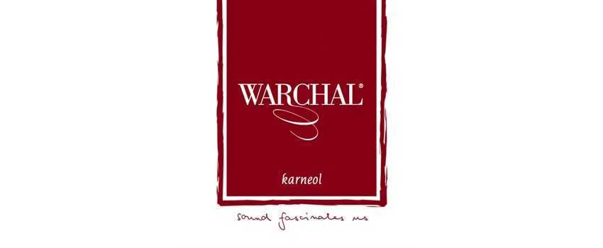 Warchal 'Karneol' Violin Strings | Animato Strings