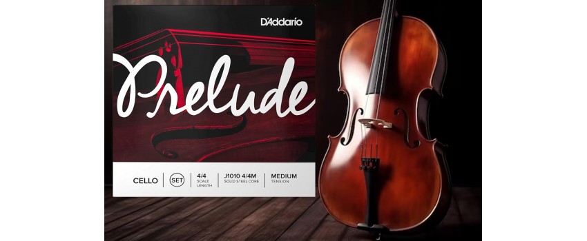 Prelude Cello Strings by D'Addario