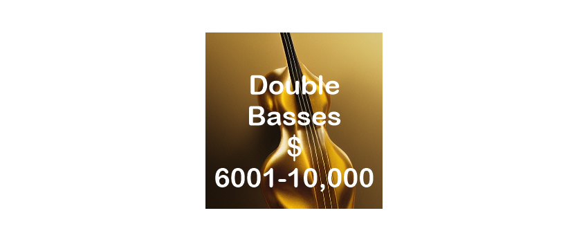 Double Basses $6001 - $10,000