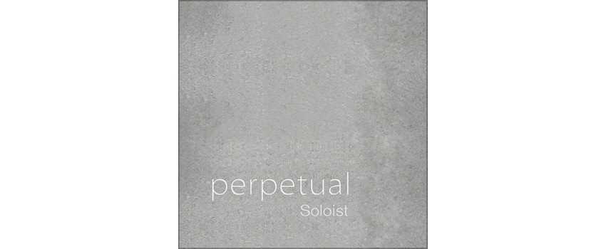 Perpetual Soloist Cello Strings | Animato Strings