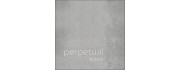 Perpetual Soloist Cello Strings by Pirastro
