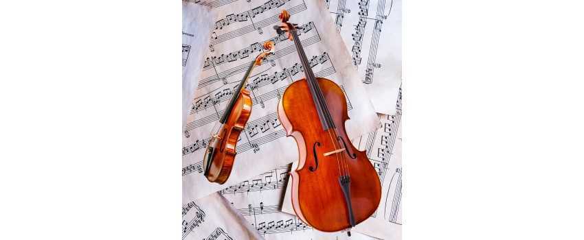 Viola and Cello