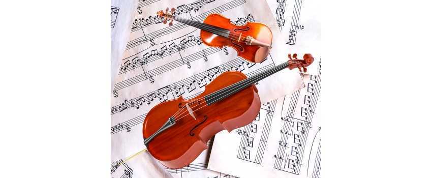 Violin and Cello