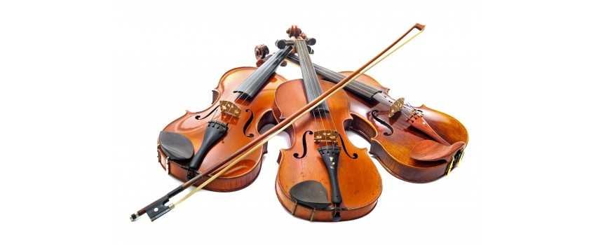 3 Violins