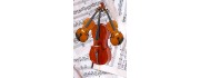 2 Violas and Cello