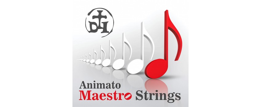 Maestro Violin Strings by Animato