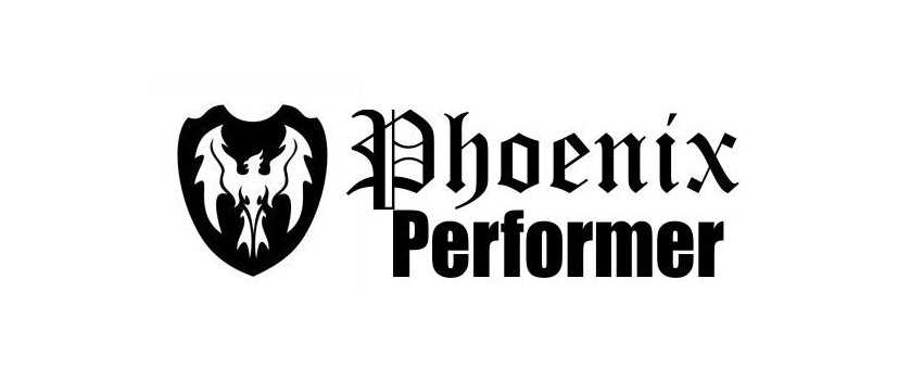 Phoenix Performer Fiberglass/Carbon Violin Cases | Animato Strings