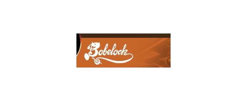 Bobelock Viola Cases | Animato Strings