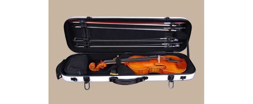 Tonareli Viola Cases | Animato Strings