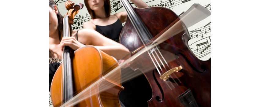 Double Bass Sheet Music