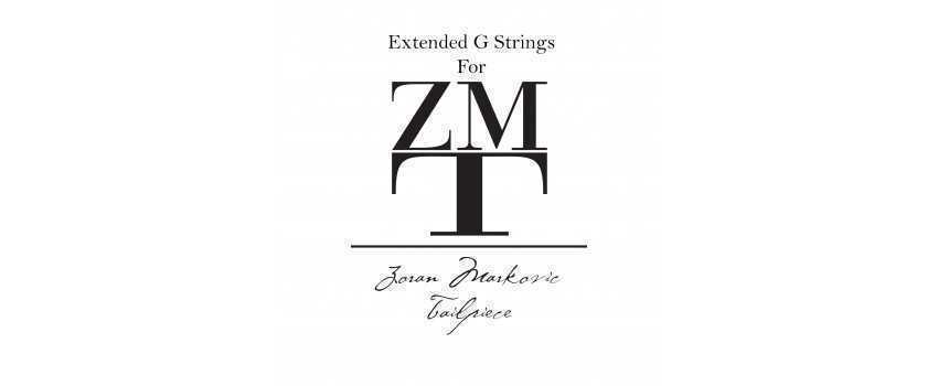 ZMT - G Extension Violin Strings
