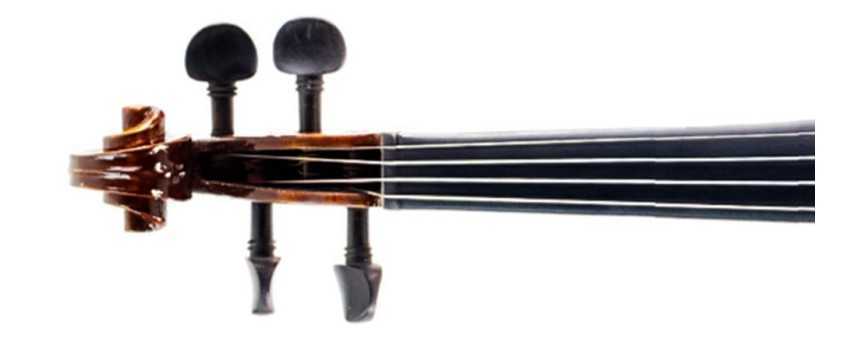 Capriccio Violins