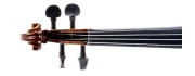 Capriccio Violins