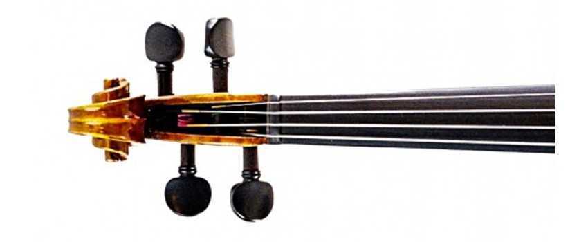 Marcello Range of Violins