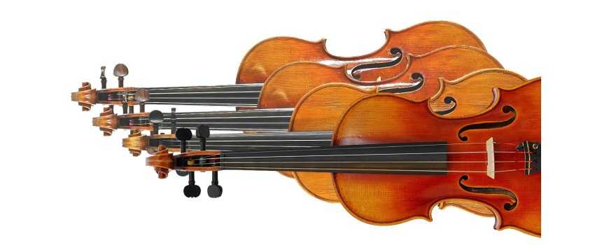 Other Animato Violin Brands