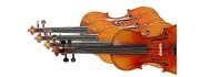 Other Animato Violin Brands