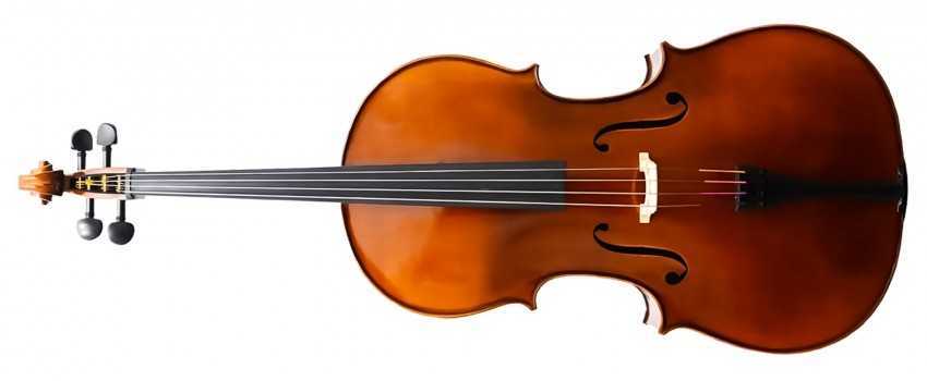 Capriccio Cellos
