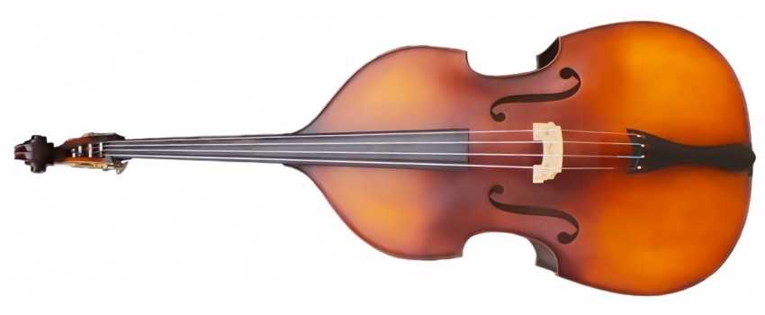 Arco Double Basses