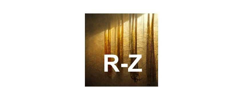 Violin Strings R-Z