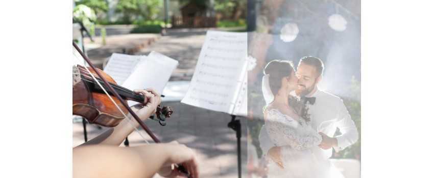 Wedding Music Violin