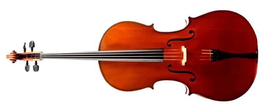 German Cellos